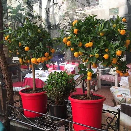 Gabbia D'oro Otel Verona